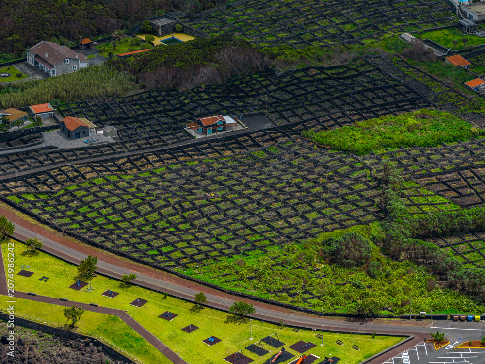 Aerial view of the volcanic stone walls surrounding vineyards in Biscoitos, Azores, Portugal.