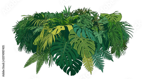 白い背景に配置されたモンステラやヤシの葉を含む熱帯植物の茂みのイラストレーションで、鮮やかな緑色の葉が重なり合い、自然で爽やかなボタニカルな雰囲気を演出するデザイン素材。