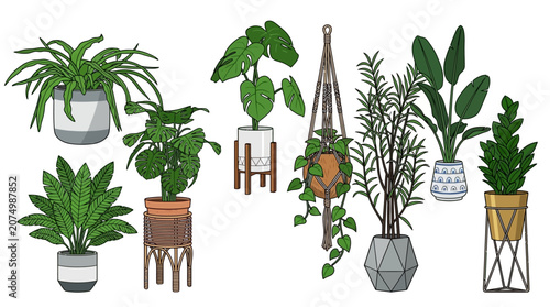 様々な鉢植えの観葉植物のイラストが、白背景に並べられています。