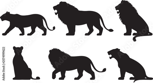 Black silhouette cats and lions in different poses