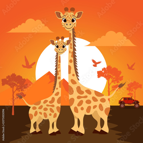 Two Giraffes Standing in African Savanna During Golden Sunset