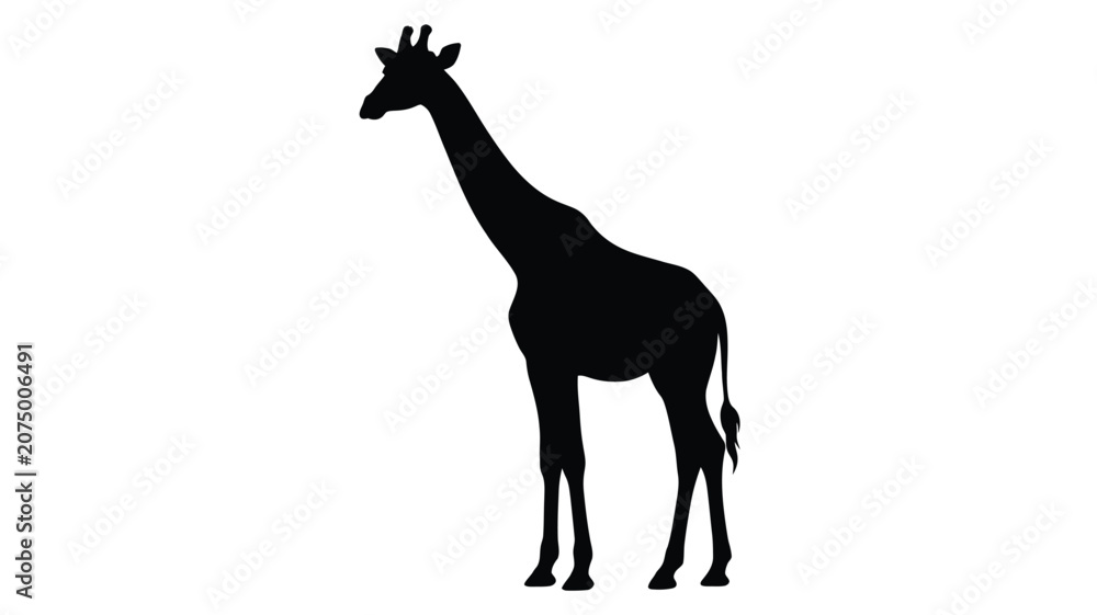 Fototapeta premium Giraffe Silhouette Against A White Background Animal Shape Silhouette