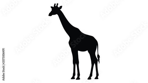 Foto Giraffe Silhouette Against A White Background Animal Shape Silhouette