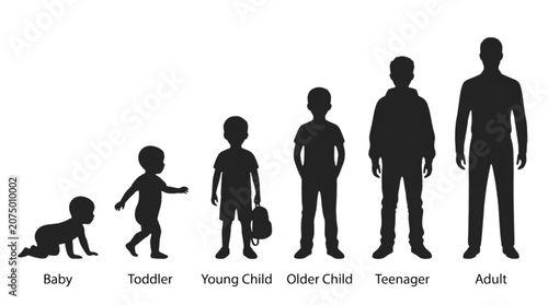 Canvastavla Stages of Human Development from Birth to Adulthood – Silhouette Figure Vector S