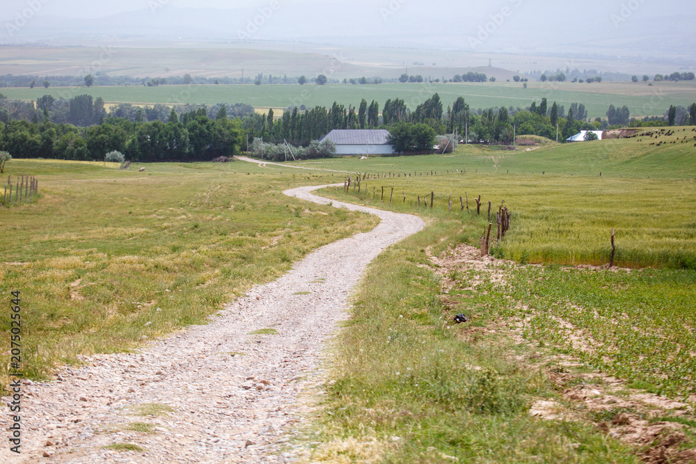 Fototapeta premium Winding gravel path cuts through green grassy field
