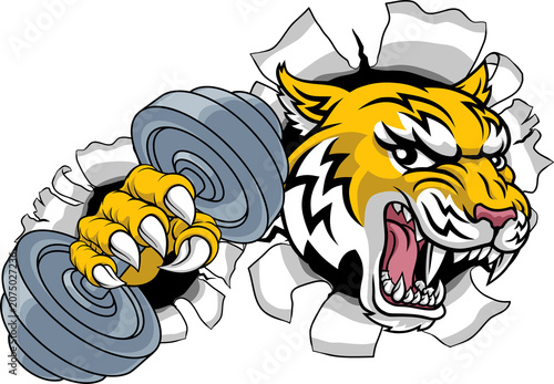 A wildcat or bobcat lynx bo...