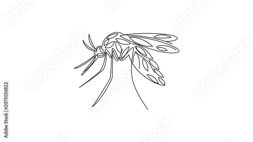 Continuous line drawing of a mosquito insect icon.