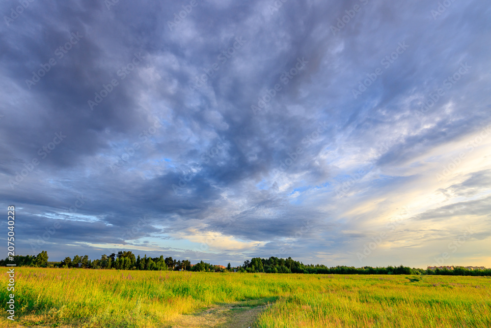 Fototapeta premium Lush green field under a vast, cloudy sky