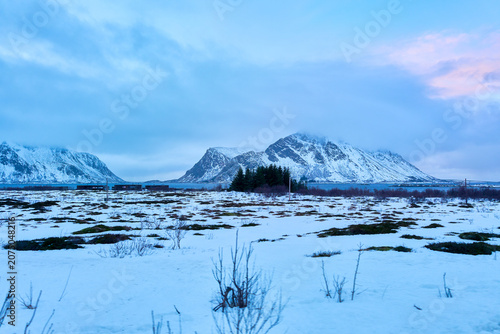 Breathtaking Winter Landscape in Lofoten, Norway: Snow-Covered Plains and Majestic Arctic Mountains During Blue Hour Twilight, Scenic Nordic Wilderness and Serene Nature Vista.