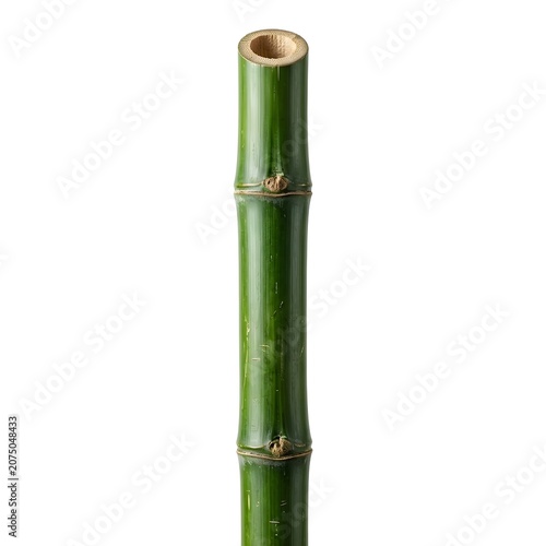 Professional Green Bamboo Stalk Isolated On White Solid Background, Fresh Natural Plant Segment With Smooth Texture, Perfect For Gardening, Zen Design, And Eco Nature Concepts