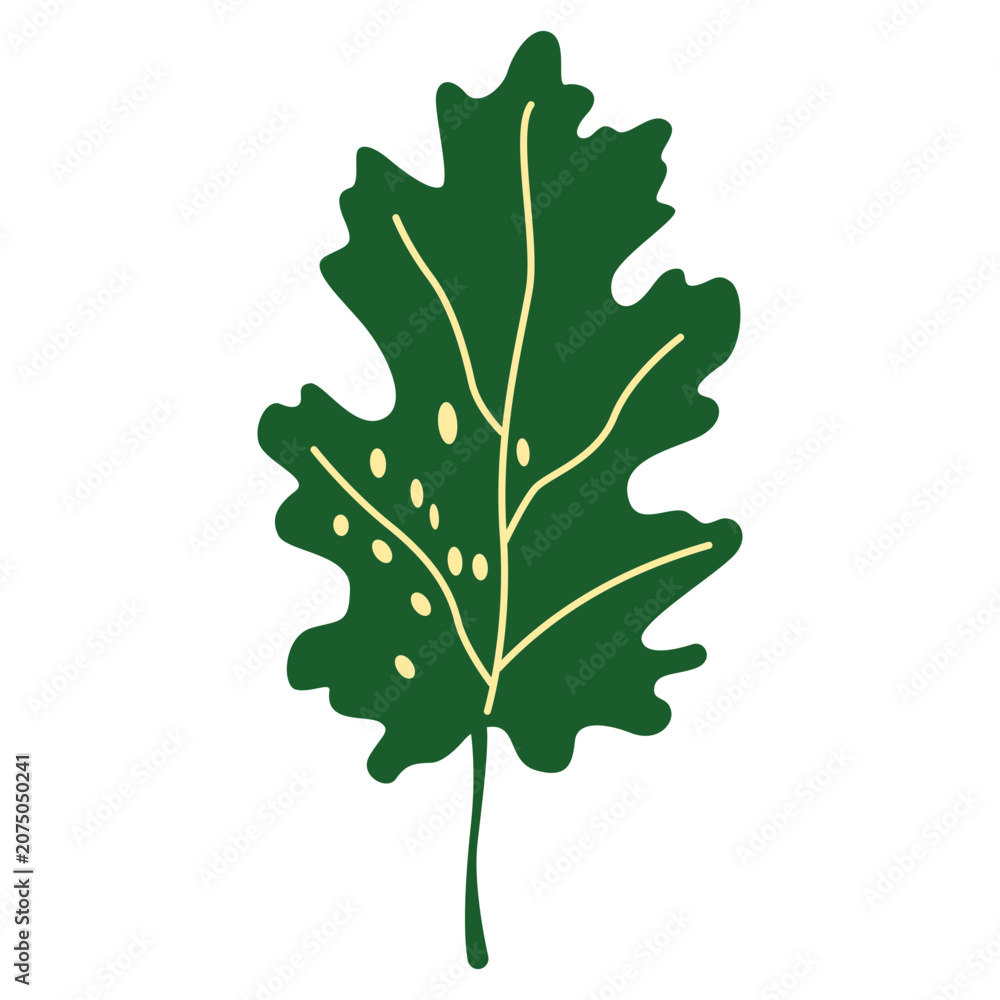 Fototapeta premium Dark Green Oak Leaf Forest Foliage Illustration