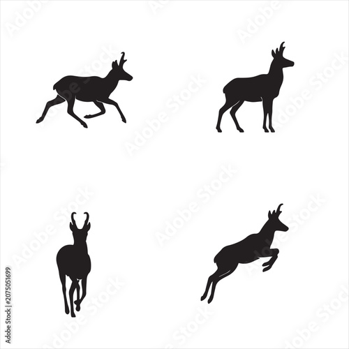 Quadro su tela Set of black silhouettes of chamois in different poses Vector