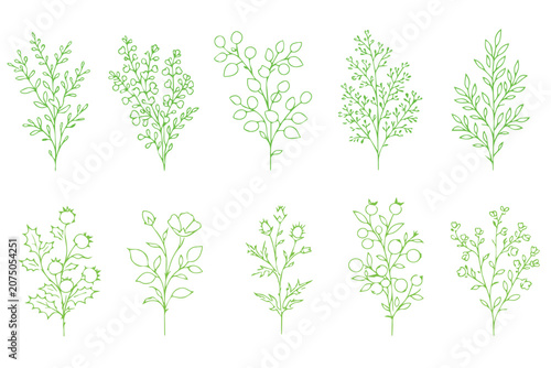 Green tree silhouettes and garden bush icons, set of 8 botanical vector elements, flat landscape foliage for architectural site plans