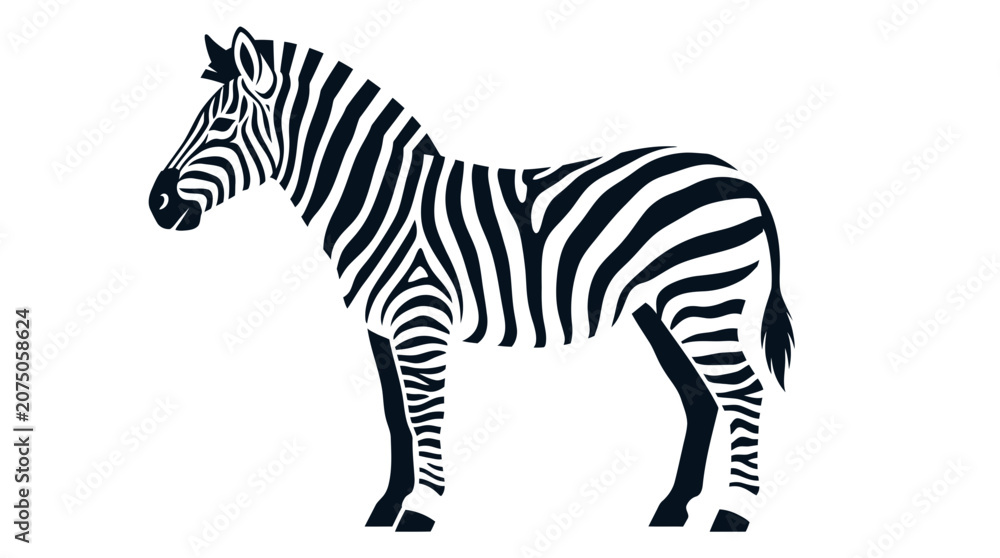 Obraz premium A black and white illustration of a standing zebra on a plain background 024