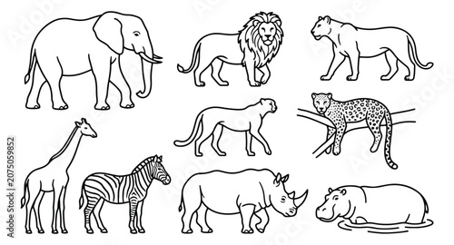 Canvas Print African Safari Animals Line Art, Minimalist Wildlife Vector Set, 9 Wild Animal O