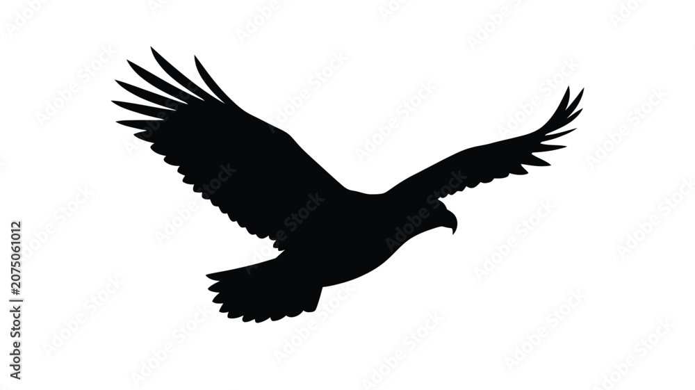 Fototapeta premium Soaring eagle silhouette against a white background silhouette