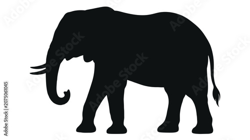 Foto African elephant side profile black silhouette animal