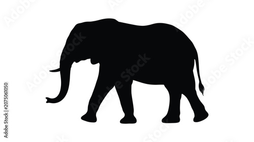 Konstfotografi African elephant silhouette against a white background silhouette