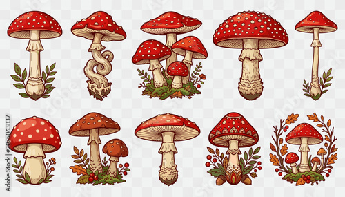 Canvastavla Hand drawn autumn red fly agaric mushrooms set with leaves berries and acorns de