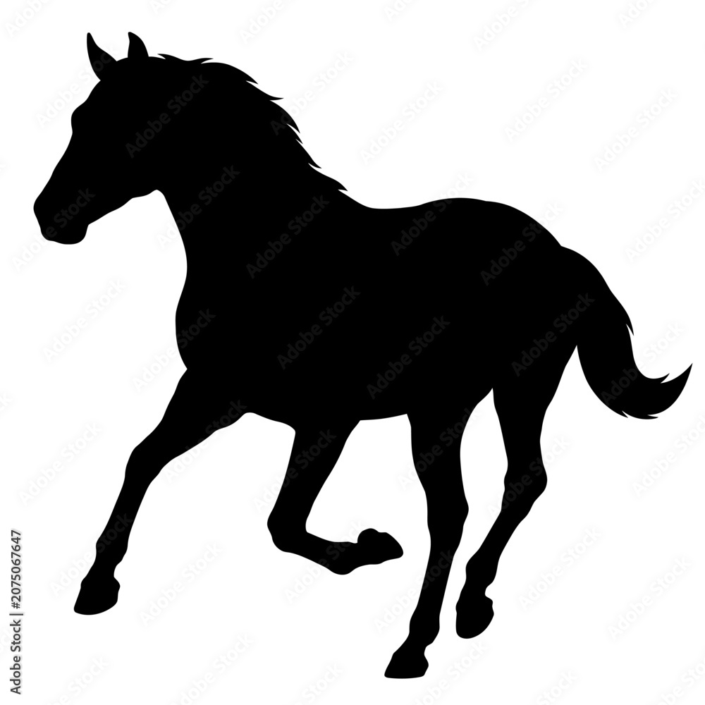 Obraz premium Black horse silhouette, running horse icon, equine vector, animal illustration isolated on White Background silhouette