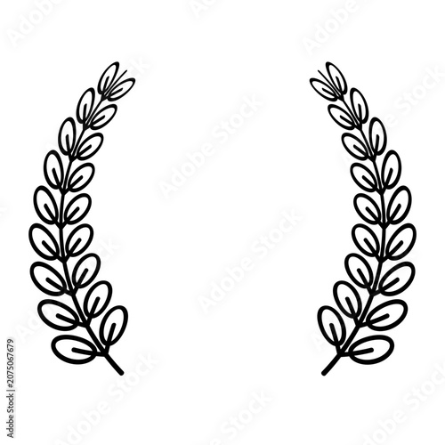 Flower Border