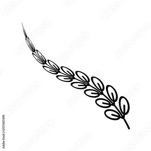 Flower Border