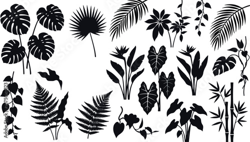 Tropical Palm Fronds and Bird of Paradise Flower Silhouette Vector Pattern Exotic Jungle Foliage Wallpaper Layout