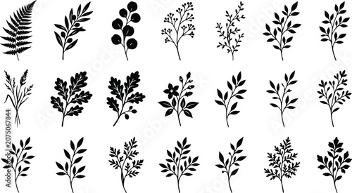 Wild Herbs and Meadow Flowers Silhouette Vector Collection Botanical Field Plant Stems Delicate Floral Silhouettes
