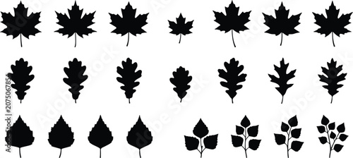 Geometric Rows of Maple and Oak Tree Leaves Silhouette Vector Set Autumn Foliage Icon Graphic Collection