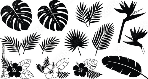 Tropical Leaves Silhouette Vector Set: Botanical Monstera, Palm Tree Branch, Jungle Plant Foliage, Maple and Oak Leaf Silhouette Collection for Pattern Design