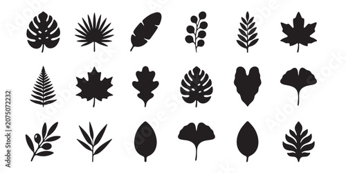 Black leaf silhouettes, tropical foliage set, forest plants