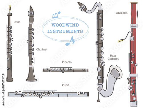 Collection of woodwind instruments, oboe, clarinet, flute, piccolo, bass clarinet, bassoon. Vector illustration in line drawing, isolated on white background.