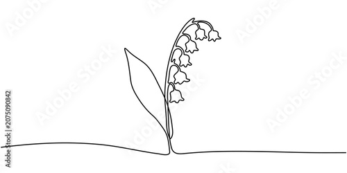 Bild auf Leinwand Elegant Continuous Line Art of Lily of the Valley