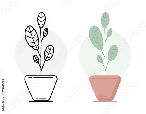 Rubber Plant Ficus with Oval Leaves in Pot Line Art and Flat Style Set