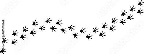 Foto Lizard Footprint Trail Pattern Vector Illustration, Reptile Animal Track Silhoue