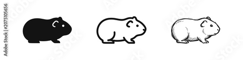 Obraz na płótnie Cute Guinea Pig Pet Icon Set