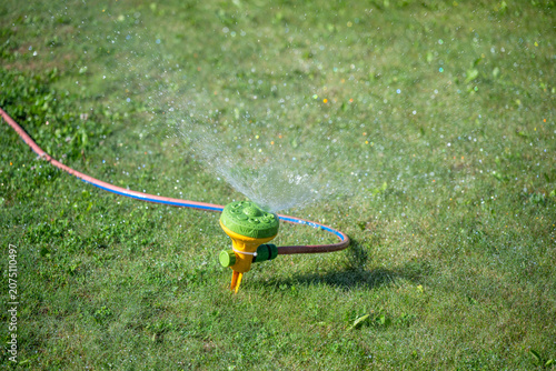 Tablou pe pânză a green and yellow lawn sprinkler attached to a garden hose sprays a mist of water across a bright green grassy yard in the sunshine