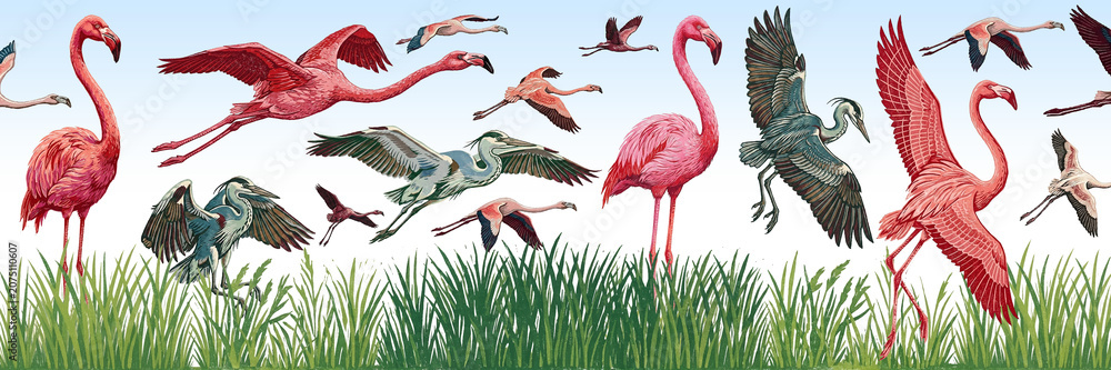 Fototapeta premium Pink flamingo, heron, crane, fly, flock, instinct, stamp, engraving, impression