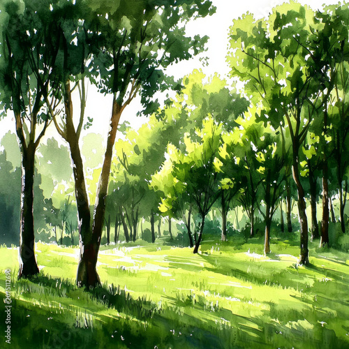 Watercolor artwork of a sunny forest clearing Lush green trees cast long shadows on bright grass, bathed in warm light