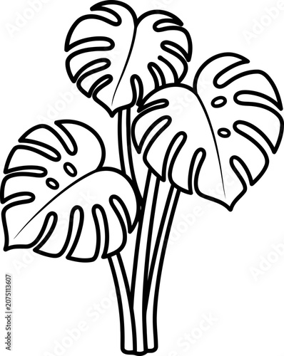 Monstera Deliciosa Plant Leaves Outline Illustration, Tropical Foliage Vector Art
