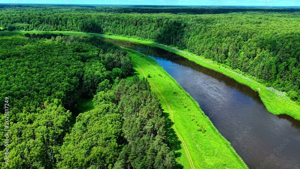 Obraz premium Lush green forest bordering a winding river in bright sunny conditions during mid-summer