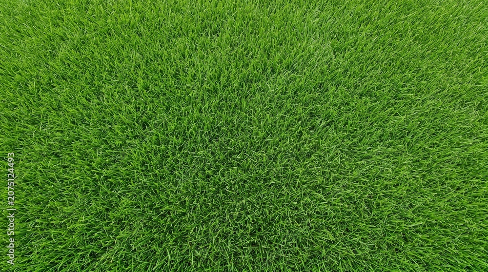 Fototapeta premium Vibrant green grass texture background with natural blades
