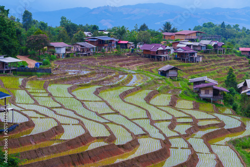 Rice terrace field with small wooden houses on hillside and distant mountains under blue sky, Chiang Mai Thailand