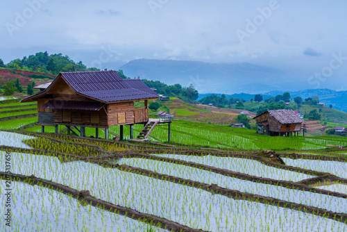 Wooden house on stilts in green rice terrace field with mountain background under cloudy sky