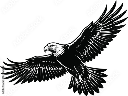 Majestic Soaring Bald Eagle Vector Illustration of Wild Bird of Prey with Outstretched Wings