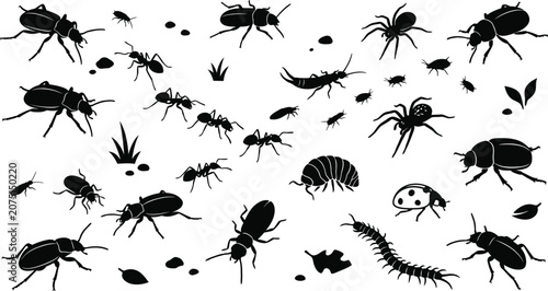 Foto Insects and Bugs Silhouettes Vector Set Collection of Beetles Ants Spiders Centi