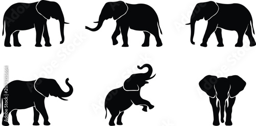African elephant silhouettes set in different poses with floor shadow reflection