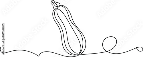 Tableau sur toile Zucchini vegetable drawn in continuous line style, minimalist organic marrow si