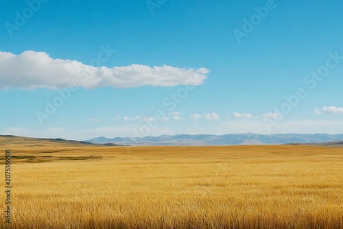 golden wheat fields waving under deep blue summer firmament