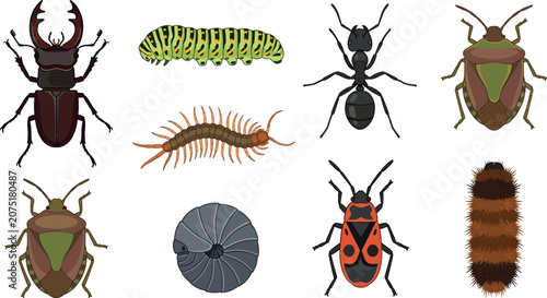 Foto Insects and bugs icon set with stag beetle caterpillar black ant stink bug centi